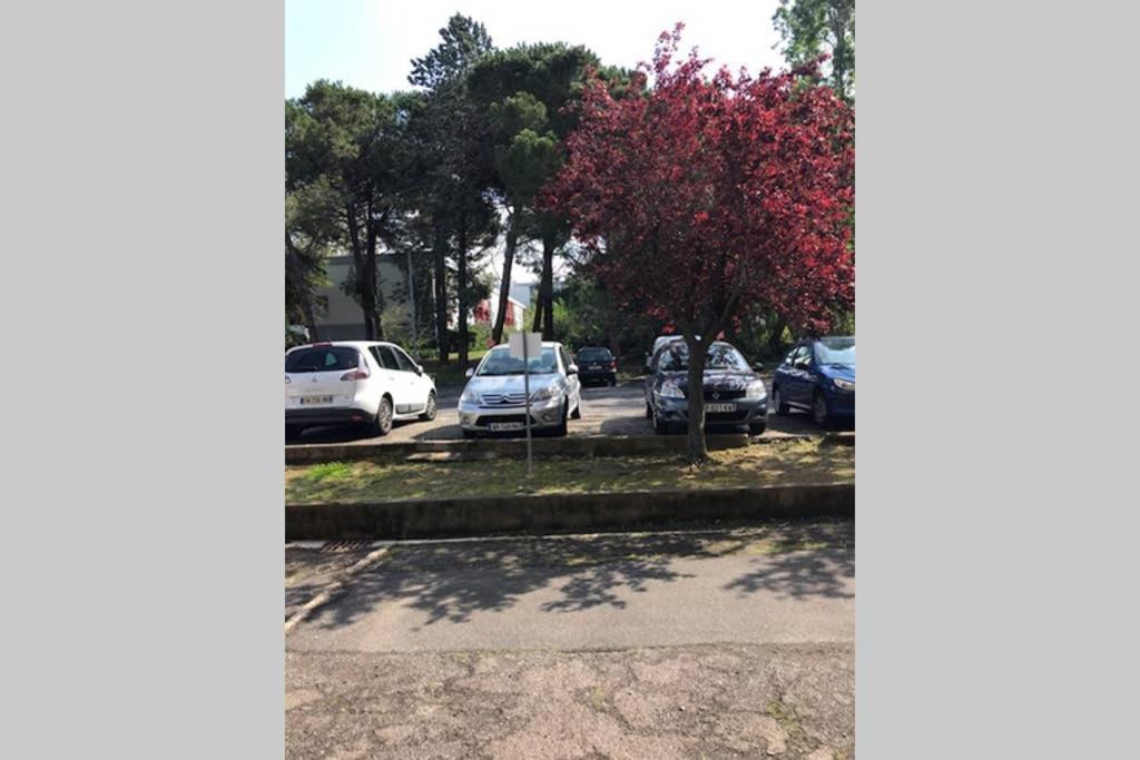 Bel Appartement Avec Vue Et Parking Prive Béziers Extérieur photo